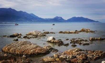 The Secret’s Out: Kaikoura’s One of New Zealand’s Top Spots