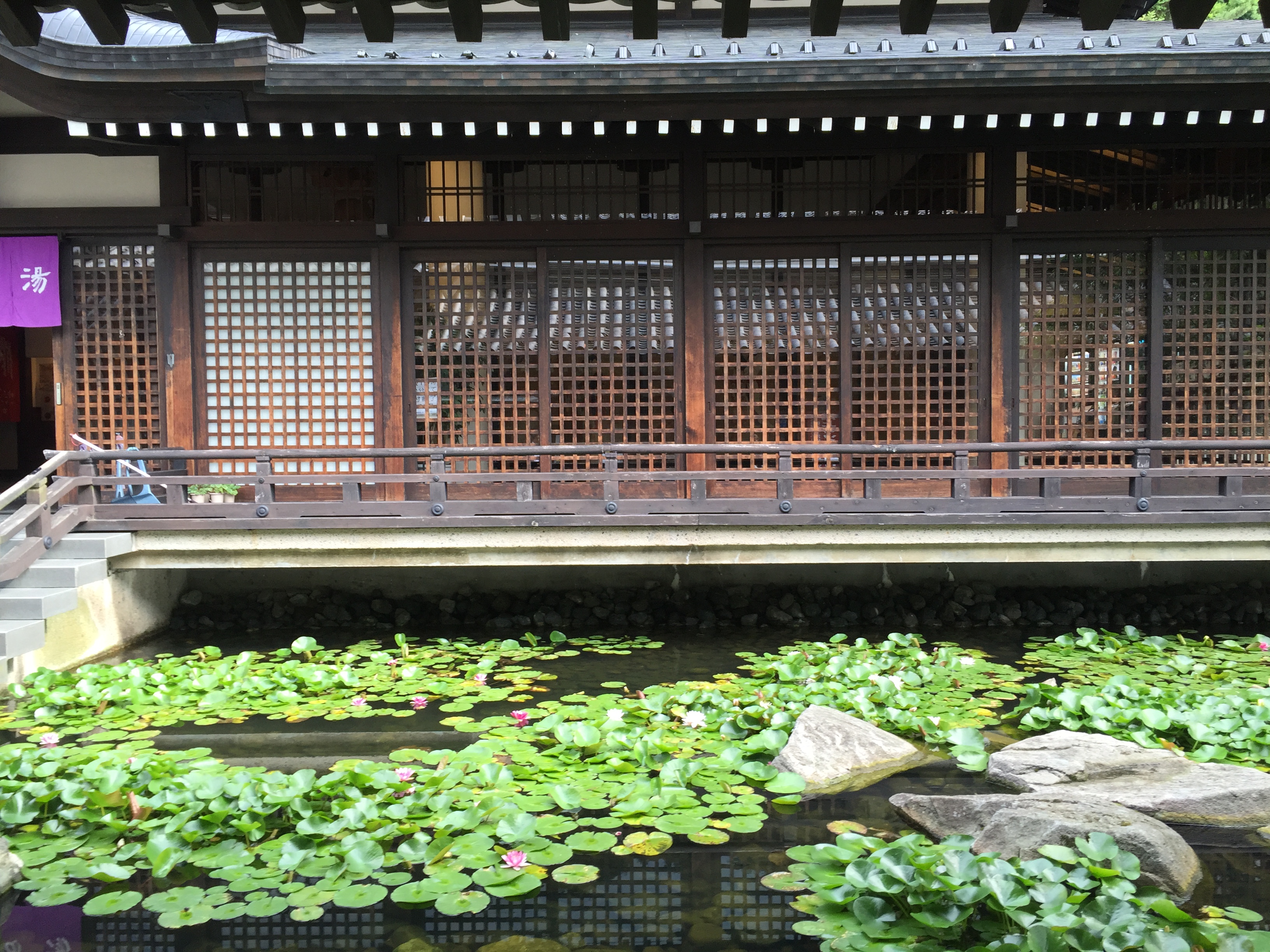 The Onsen: Navigating Japan’s Public Baths